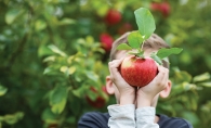 A boy holds an apple at Apple Jack Orchards.