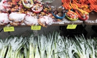 Vegetables dusted with snow at the Woodbury Farmers Market