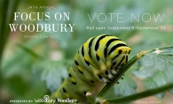 Vote for your readers' choice winner for Focus on Woodbury 2022.