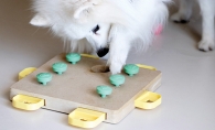 dog treat puzzle