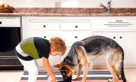 A child feeds his dog