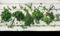 herbs, herb garden, herb combinations, cooking with herbs