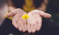 A woman holds a small yellow flower in her hands as an apology.