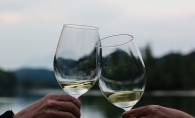 Two hands holding wine glasses.