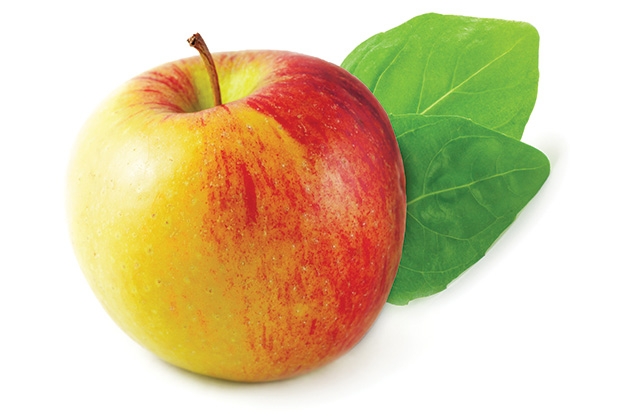 Apple An apple