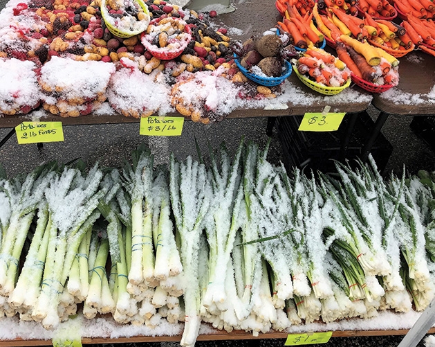 Vegetables dusted with snow at the Woodbury Farmers Market