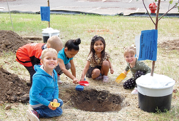 Students plant apple trees at Woodbury YMCA preschool.