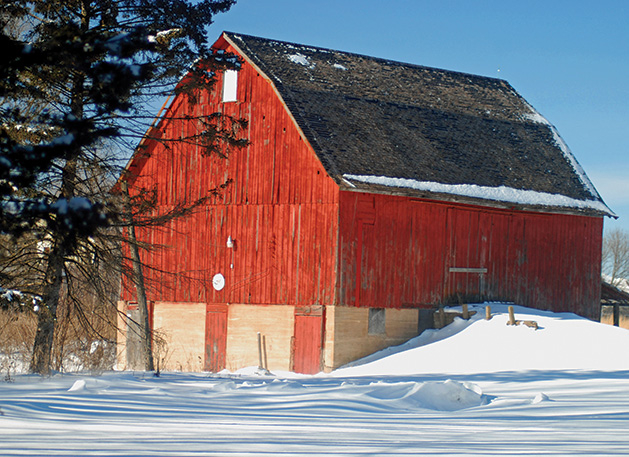 The Miller Barn in Woodbury