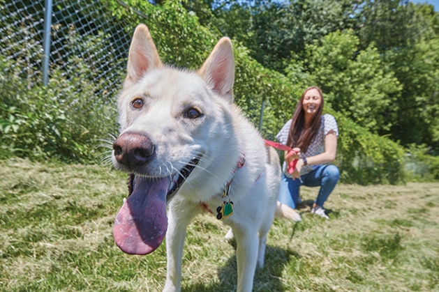 Woodbury Magazine editor Hailey Almsted and her dog Nova at a dog park in Woodbury.