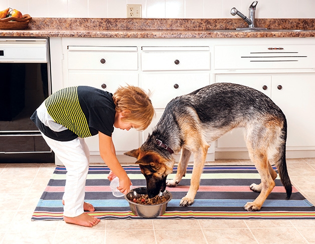 A child feeds his dog