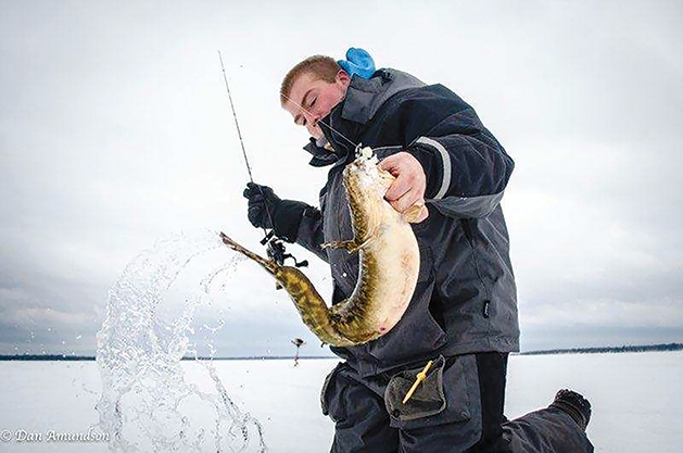 Holding fish caught while ice fishing.