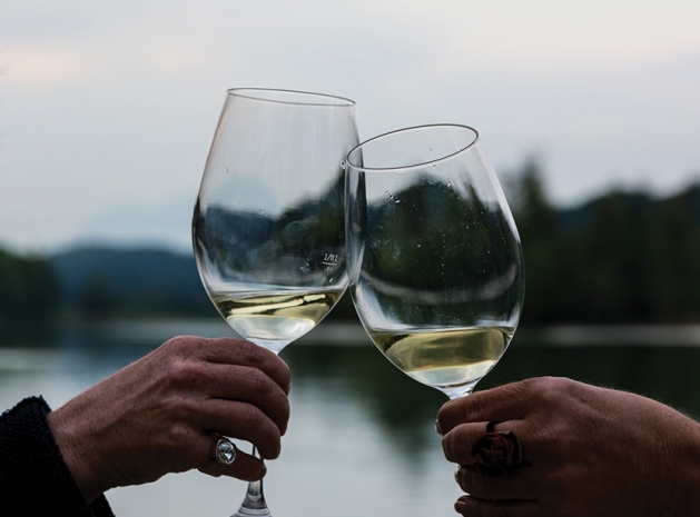 Two hands holding wine glasses.