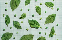 incorporate green vegetables into your diet