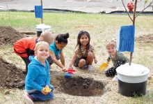 Students plant apple trees at Woodbury YMCA preschool.