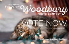 A graphic announcing voting for the 2020 Focus on Woodbury photo contest.