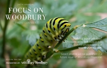 Focus on Woodbury 2022 Photo Contest.