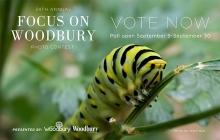 Vote for your readers' choice winner for Focus on Woodbury 2022.