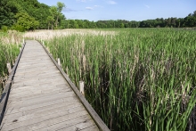 A dock at the Lake Elmo Park Reserve