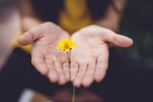 A woman holds a small yellow flower in her hands as an apology.