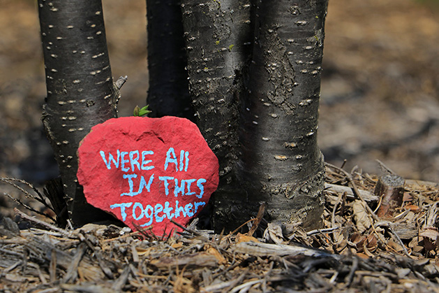 A painted rock reading "We're all in this together" sits on the ground.
